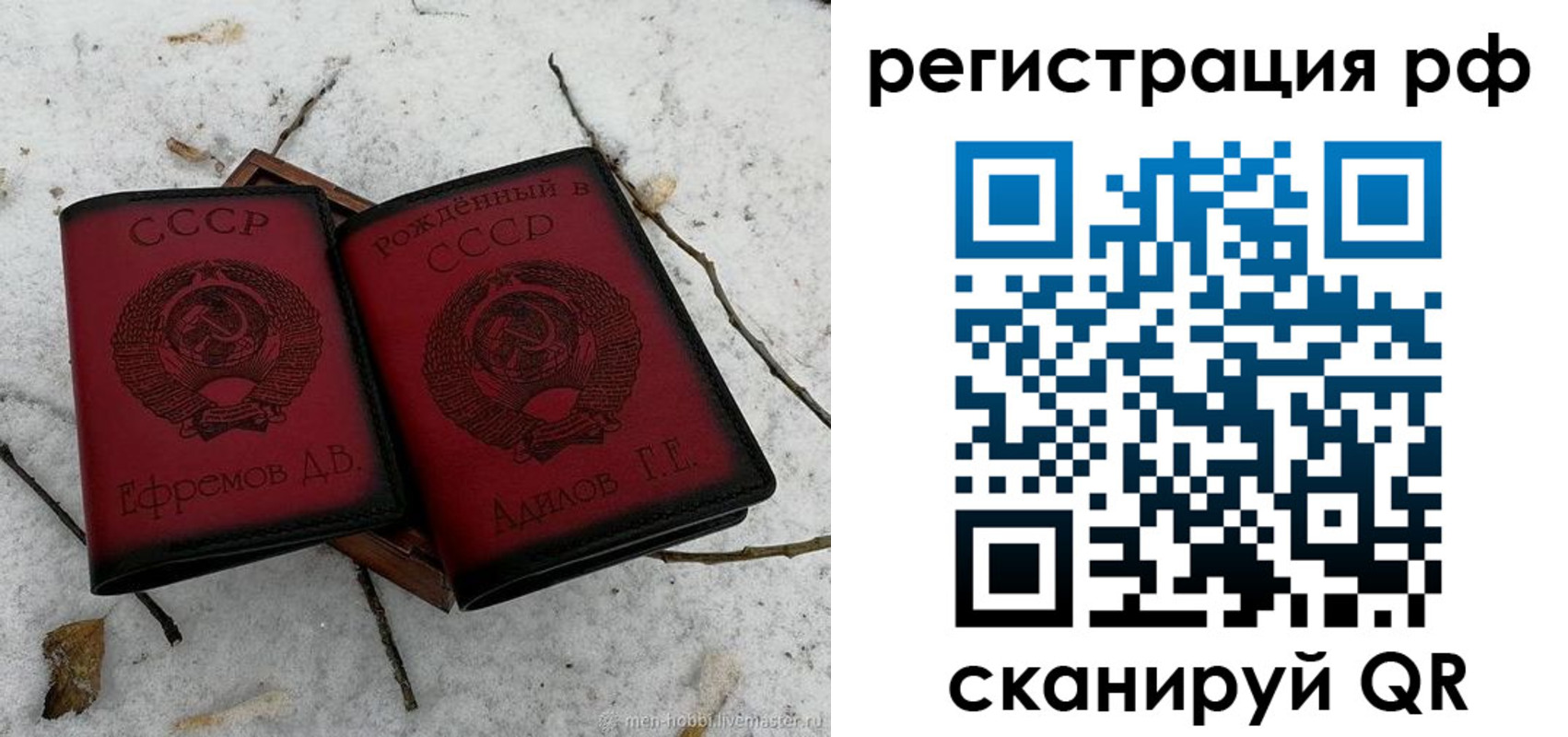 прописка поиск в Бабаево